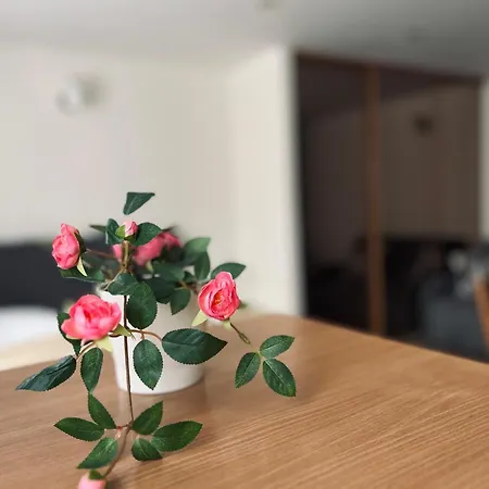 Everysky - 1 Go Maja 35a-35b *